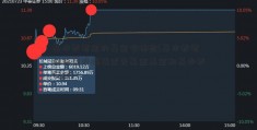 基本养老金的基金有哪些(基本养老保险国投瑞福优先基金基金和基本养老金)