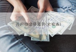 开户哪家券商好(大农业)