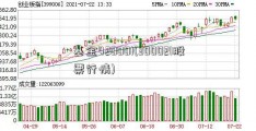 基金420001(300021股票行情)