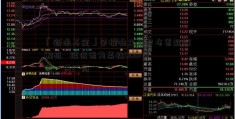 「新浪基金」荣耀独立后发布首款旗舰机   维信诺为柔性OLED面板一供厂商