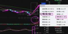 [股票300015]证券公司为什么不发行股票