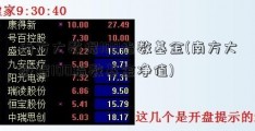 南方大数据100指数基金(南方大数据100指数基金净值)