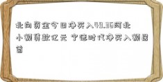 北向资金今日净买入49.36河北小额贷款亿元 宁德时代净买入额居首