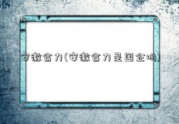 安徽合力(安徽合力是国企吗)